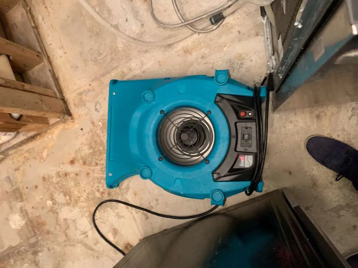 Air mover drying equipment for Mold Remediation & Removal in Foster City